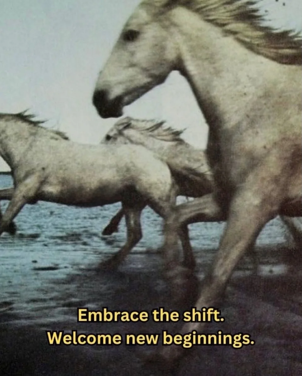 Year Of The Horse - Happy Lunar New Year