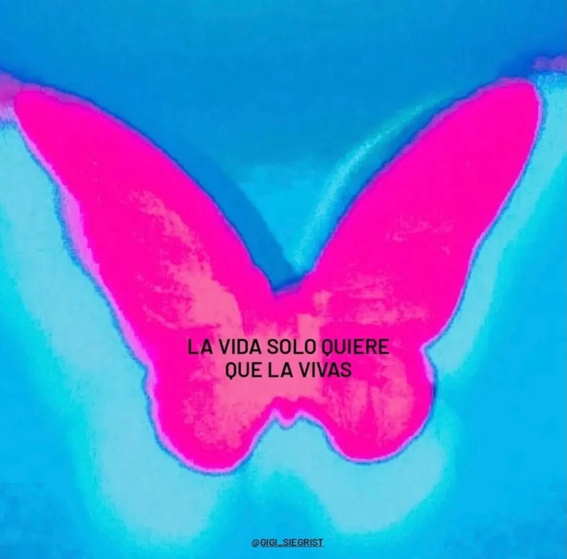 Hazlo de la mejor manera y disfruta. @gigi_siegrist