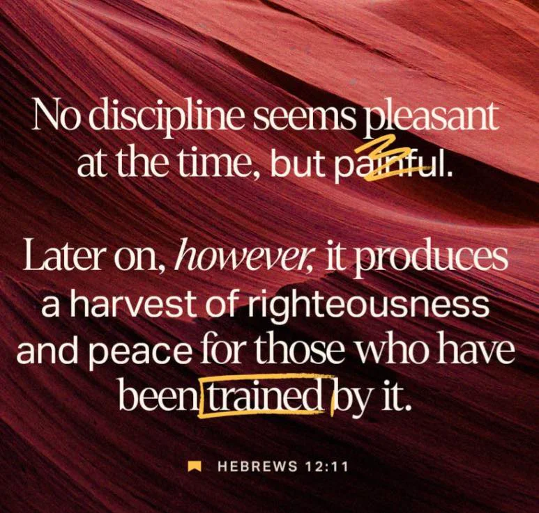 No discipline seems pleasant at the time, but painful. Later on, however, it produces a harvest of righteousness and peace for those who have been trained by it. AbbYouthiful Day with Abby #beautyiswithinreachwithAbby #...