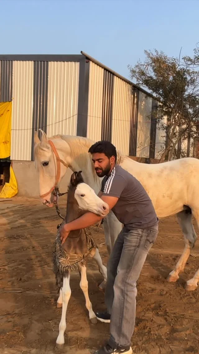 Gift after 11 months