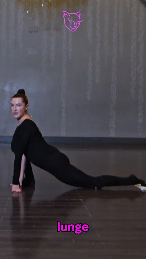 Follow along with @adisonbriana as she helps you get "SEXY FLEXY" with her new Towel Exercise tutorial, available now on Kitty Kompound. Sign up for your subscription at the link in our bio. 2026 is the year of the spli...