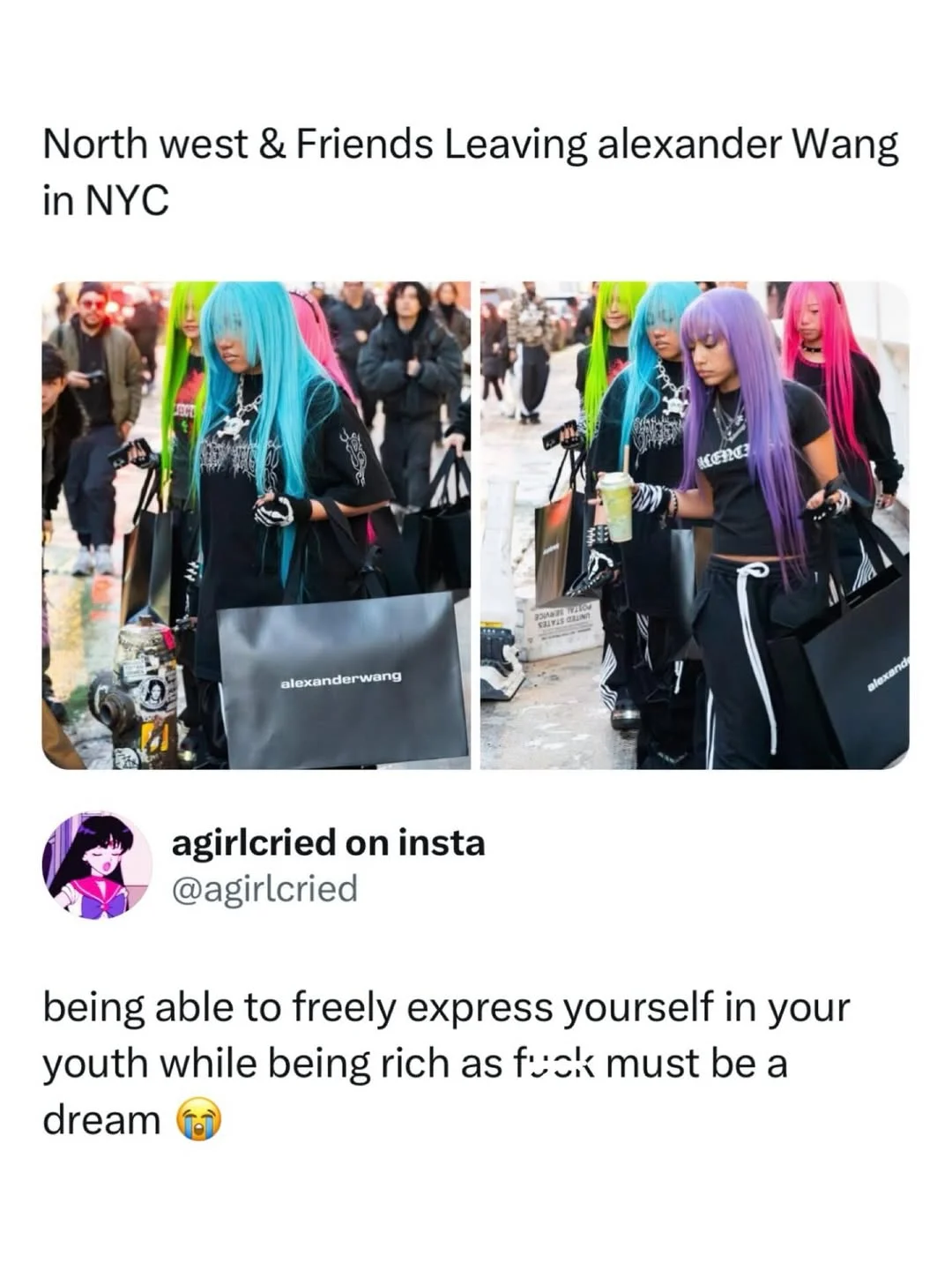 the matching wigs are so cute omg