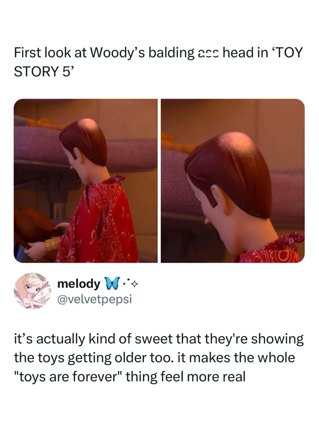 woody catching strays