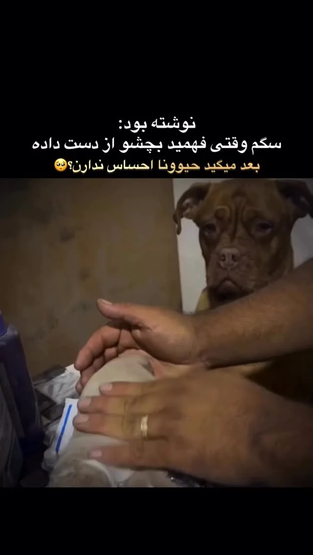 دنیا وقتی زیباتر می‌شود که قلب‌شان را ببینیم، نه فقط ظاهرشان را❤️