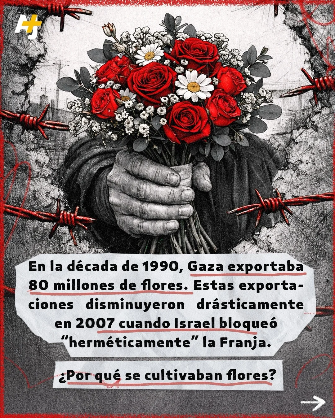 En la década de los años 90, Gaza no solo sobrevivía, florecía literalmente. Exportaban hasta 80 millones de flores anualmente a todo el mundo. Era una potencia agrícola que conectaba la tierra de Palestina con mercados...