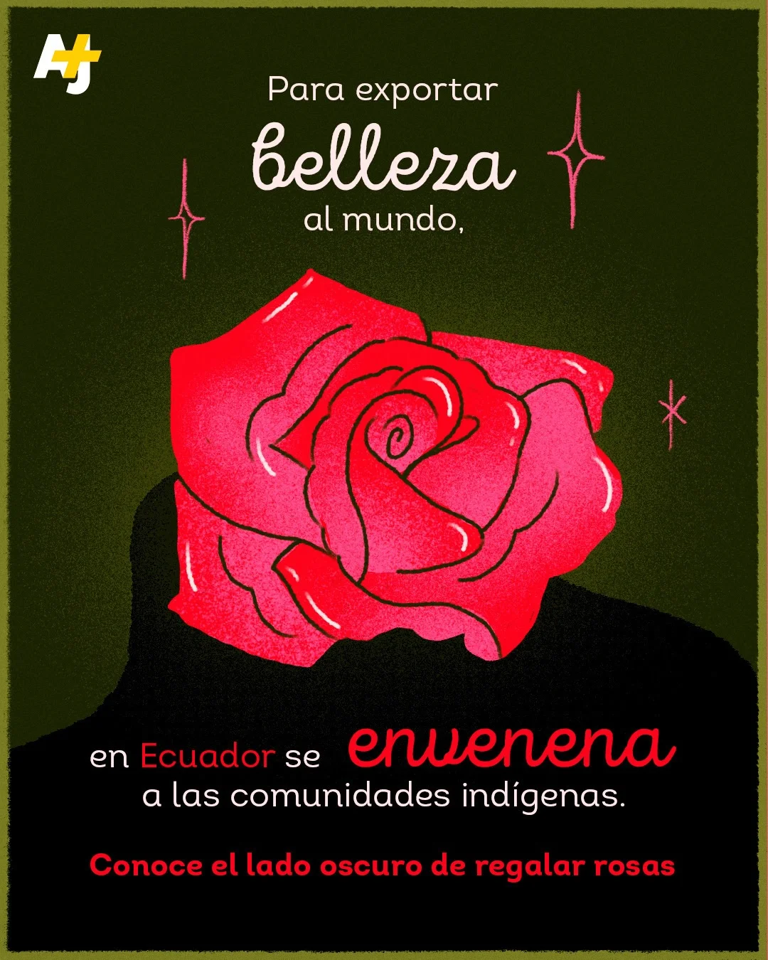 Regalar rosas está envenenado el planeta, las primeras víctimas son las comunidades originarias de Ecuador. #Medioambiente #JusticiaSocial #RamosDeFlores