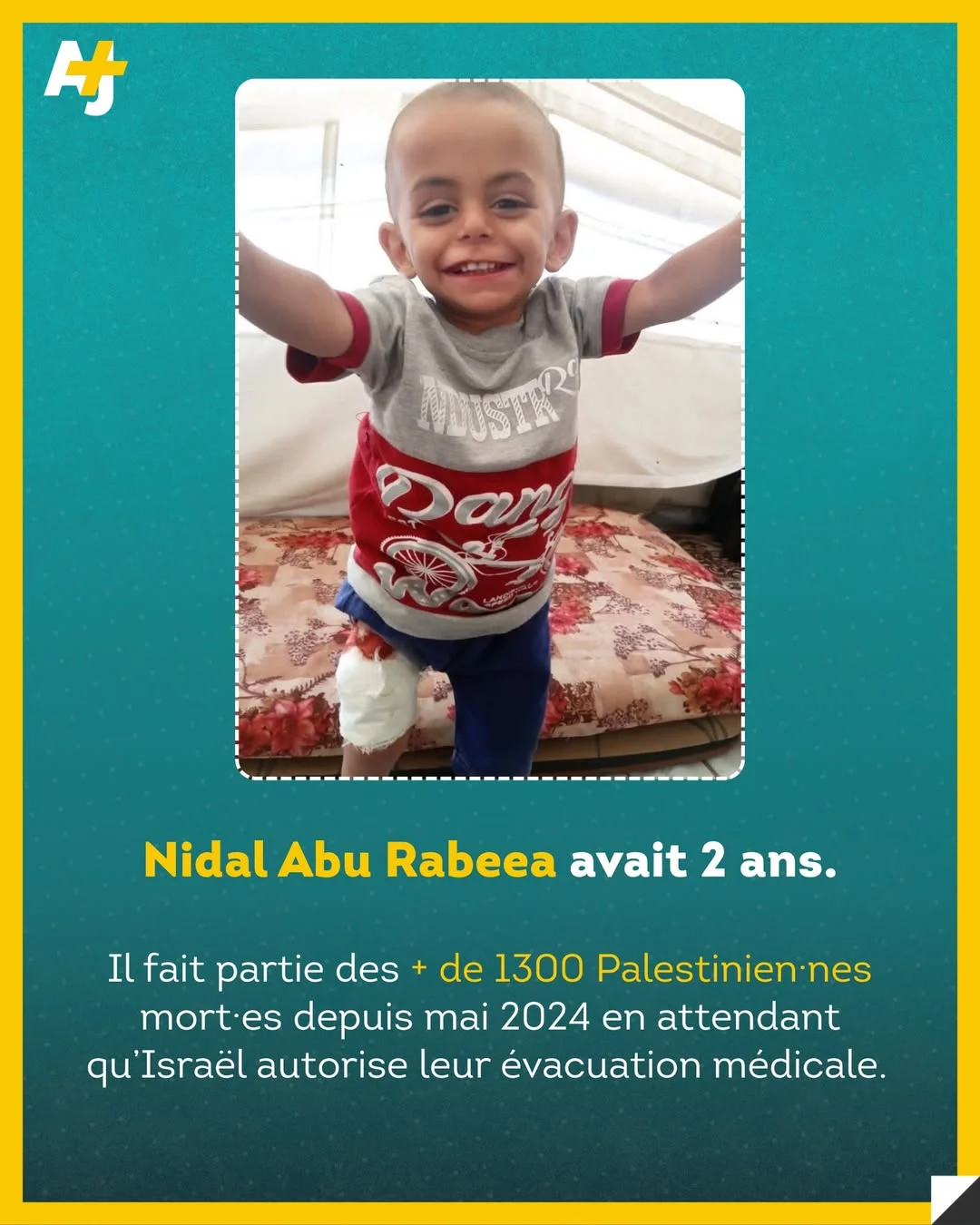 Nidal souffrait d’une grave maladie du foie et de la rate, selon les médecins. Malgré des documents médicaux approuvant un traitement à l’étranger, Israël l’a empêché de quitter Gaza pendant 14 mois. Dans le cadre de l’...