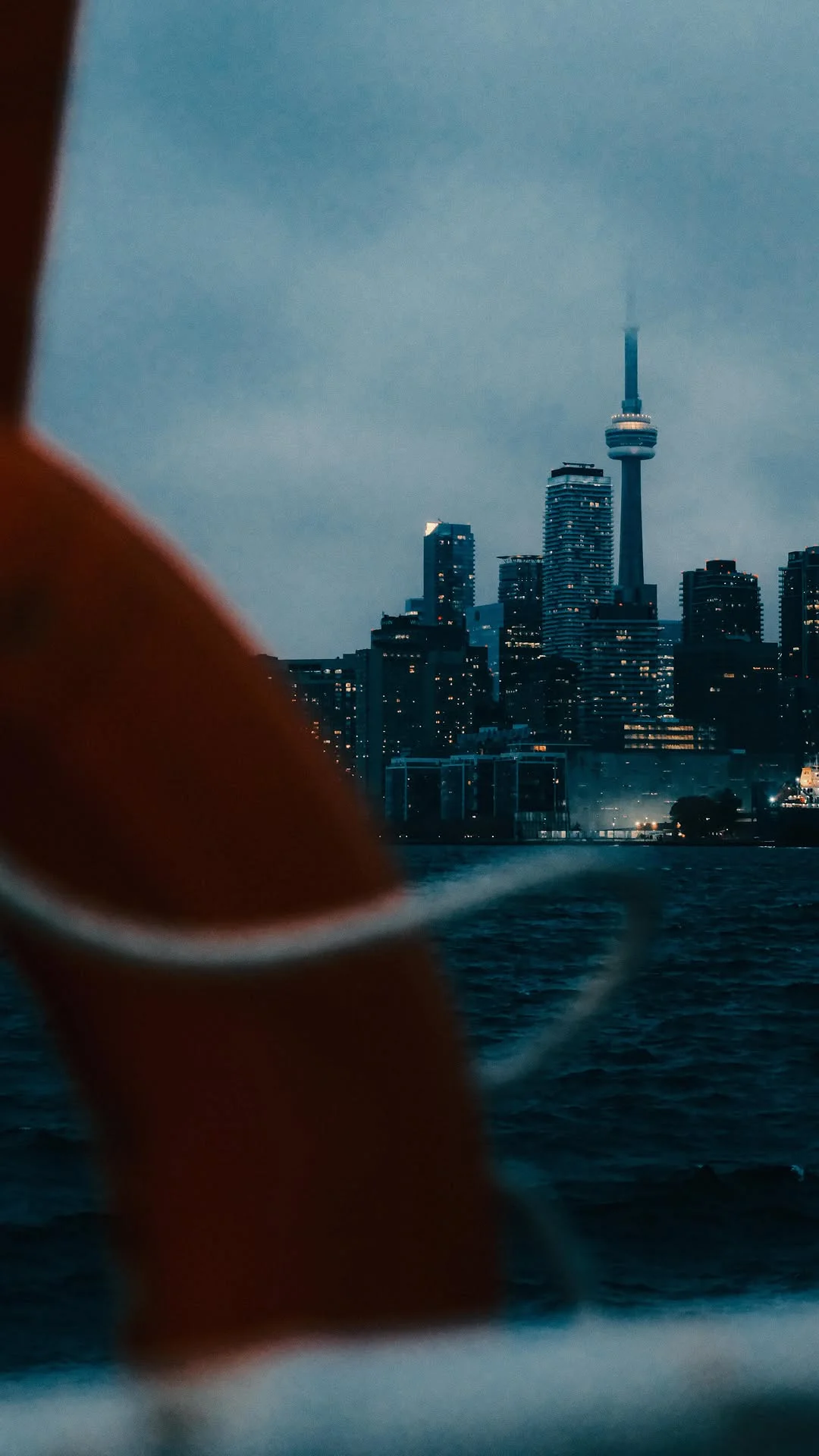 fyi flowers are just as beautiful after Valentine’s Day #lifehacks #relatable #valentinesday #flowers #reels