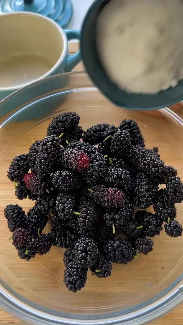 Procurando uma sobremesa rápida e fácil? Pode parar de procurar, você encontrou ‍♀️ Usei as amoras do pé da casa da minha mãe, mas você pode trocá-las pela fruta que preferir Banana Maçã Pêssego Abacaxi Morango Pêra Mir...