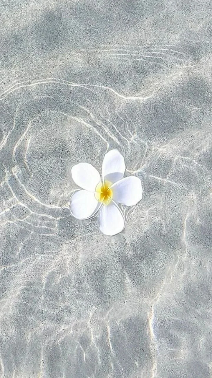 Mentally, I’m by the poolside eating carbs in my bikini 🥐👙🌸
Physically, I’m in Bombay learning my lines and finishing my to-do list 🫠📝😛