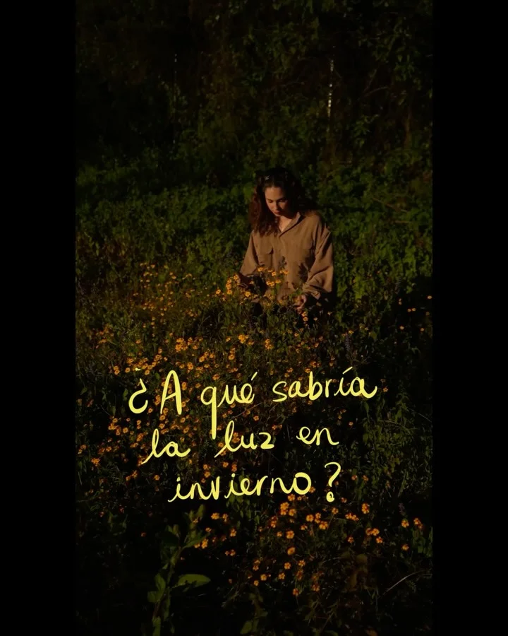 Helado sabor Sol de Invierno Últimos días para probarlo en @nievedeolla ✨