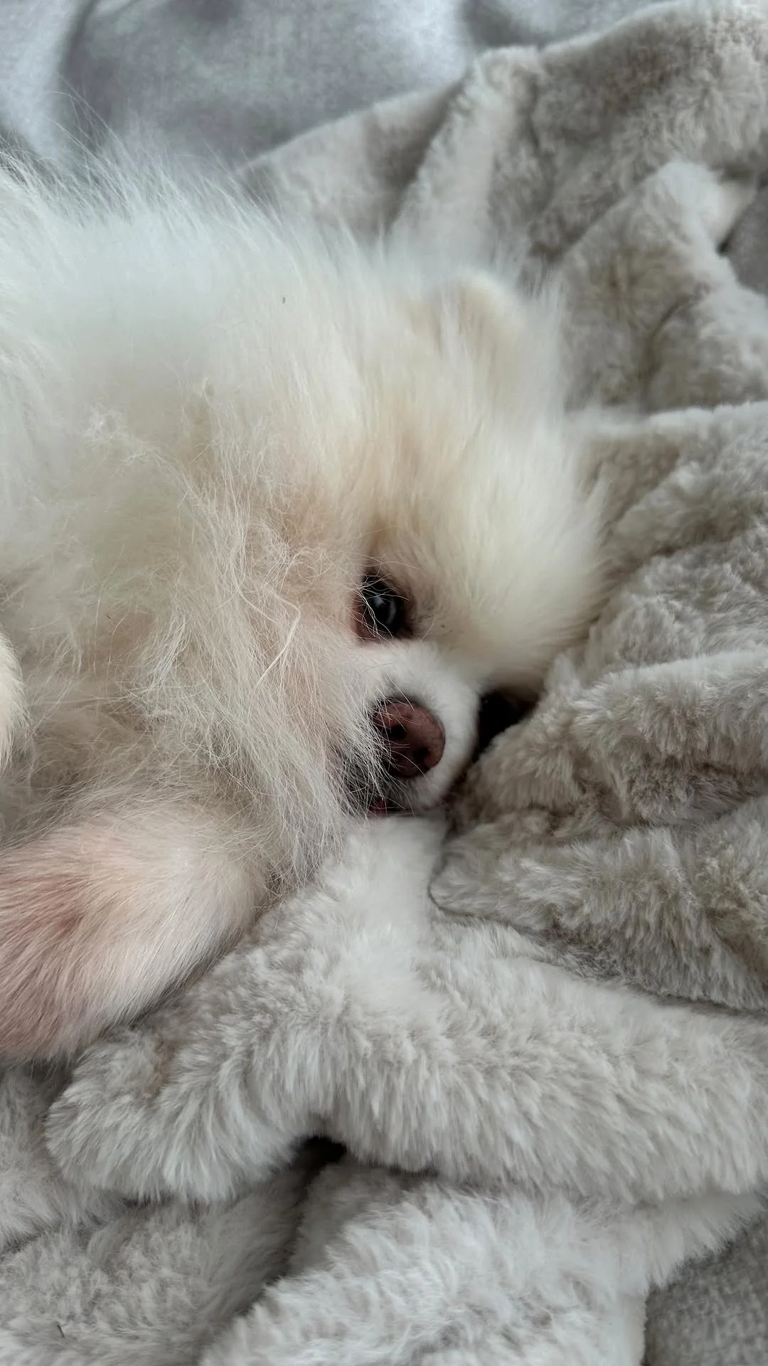 oby teraz już wszystko było dobrze #dailyvlog #dzienzemna