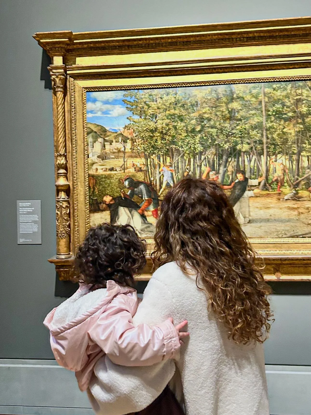 Quarta-feira de Cinzas marca o início de um caminho, não de um ritual vazio. Joel nos chama ao retorno sincero: rasgar o coração, não apenas as vestes. Paulo lembra que este é o tempo favorável para a reconciliação. Jes...