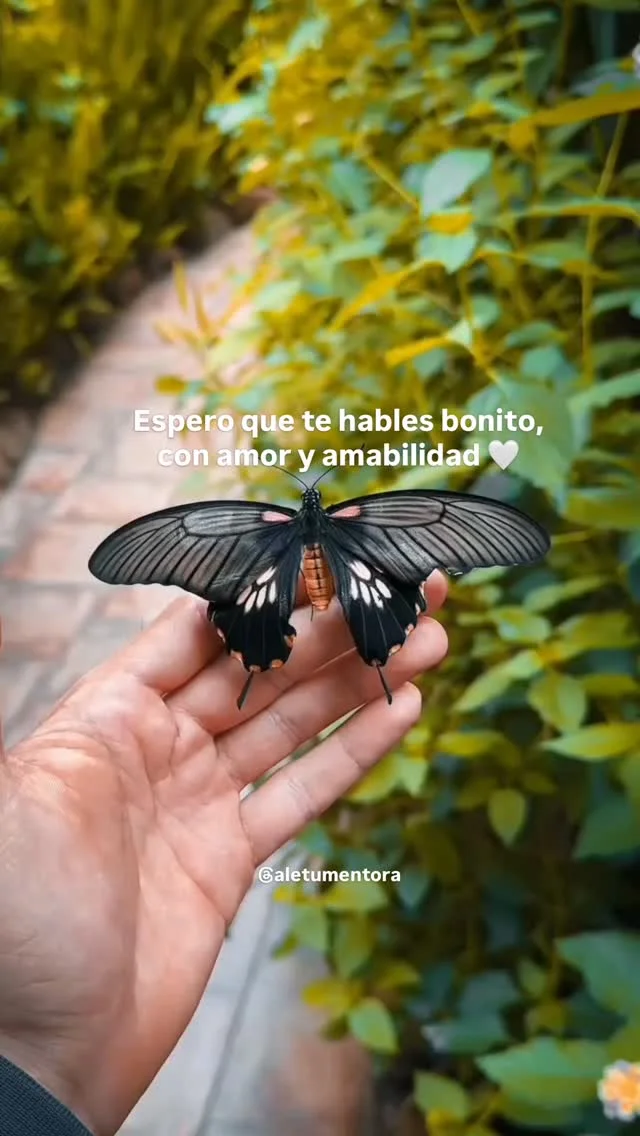 Háblate bonito. La manera en que te hablas moldea la forma en que vives. Que tu diálogo interno sea un aliado, no un enemigo