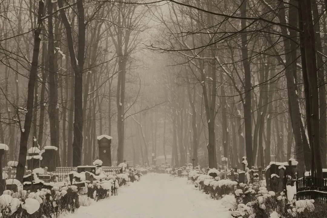 Winter fog in the cemetery