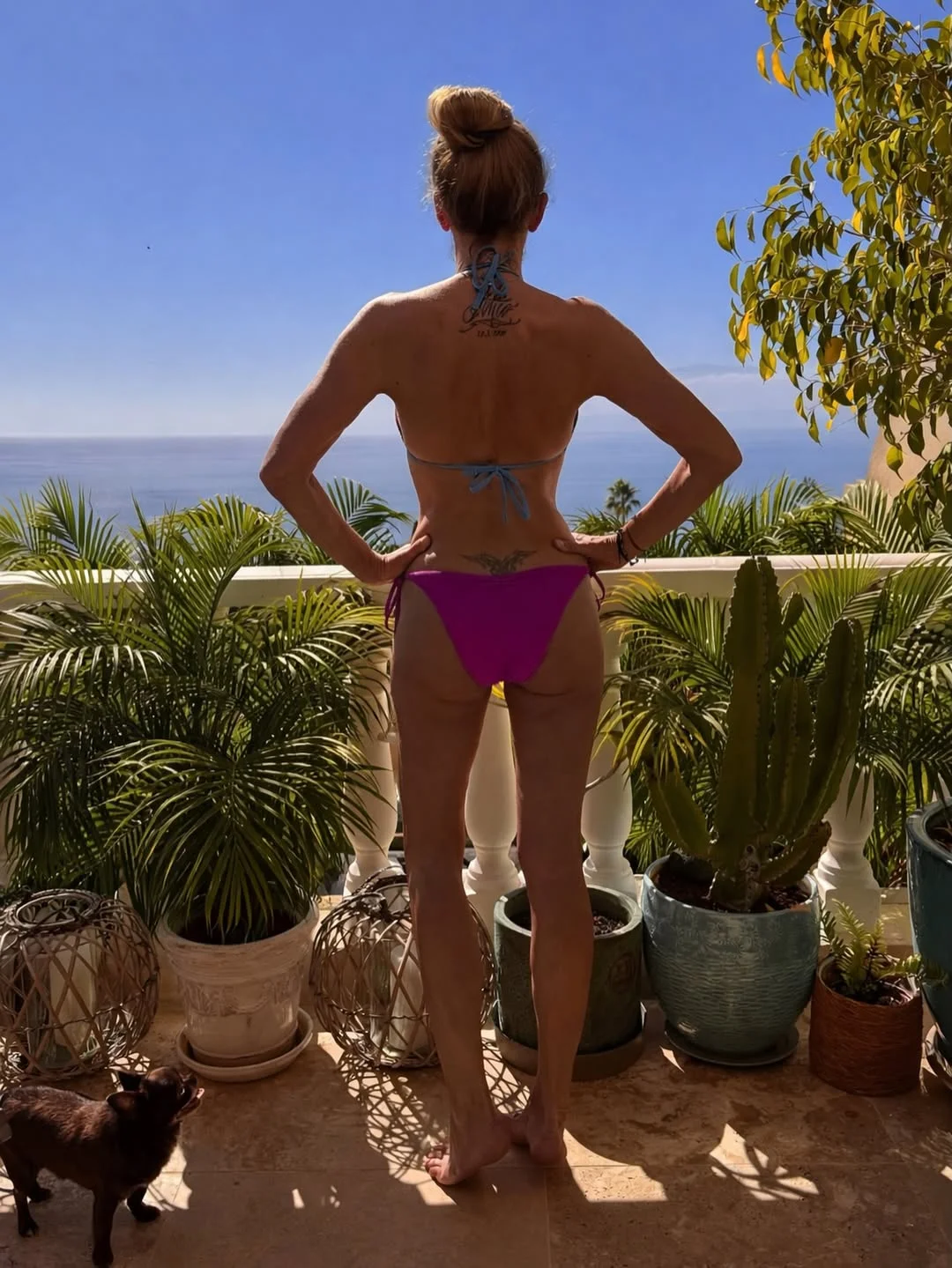 Je mi to líto, ale opustila jsem Topola, musel zůstat doma- podepírá futra, neboť nám začaly praskat i zárubně. Pomoooc. Mám tu zařizování kvůli apartmánům, kam tak rádi jezdíte❤️. Vzala jsem s sebou Toníčka, který byl...