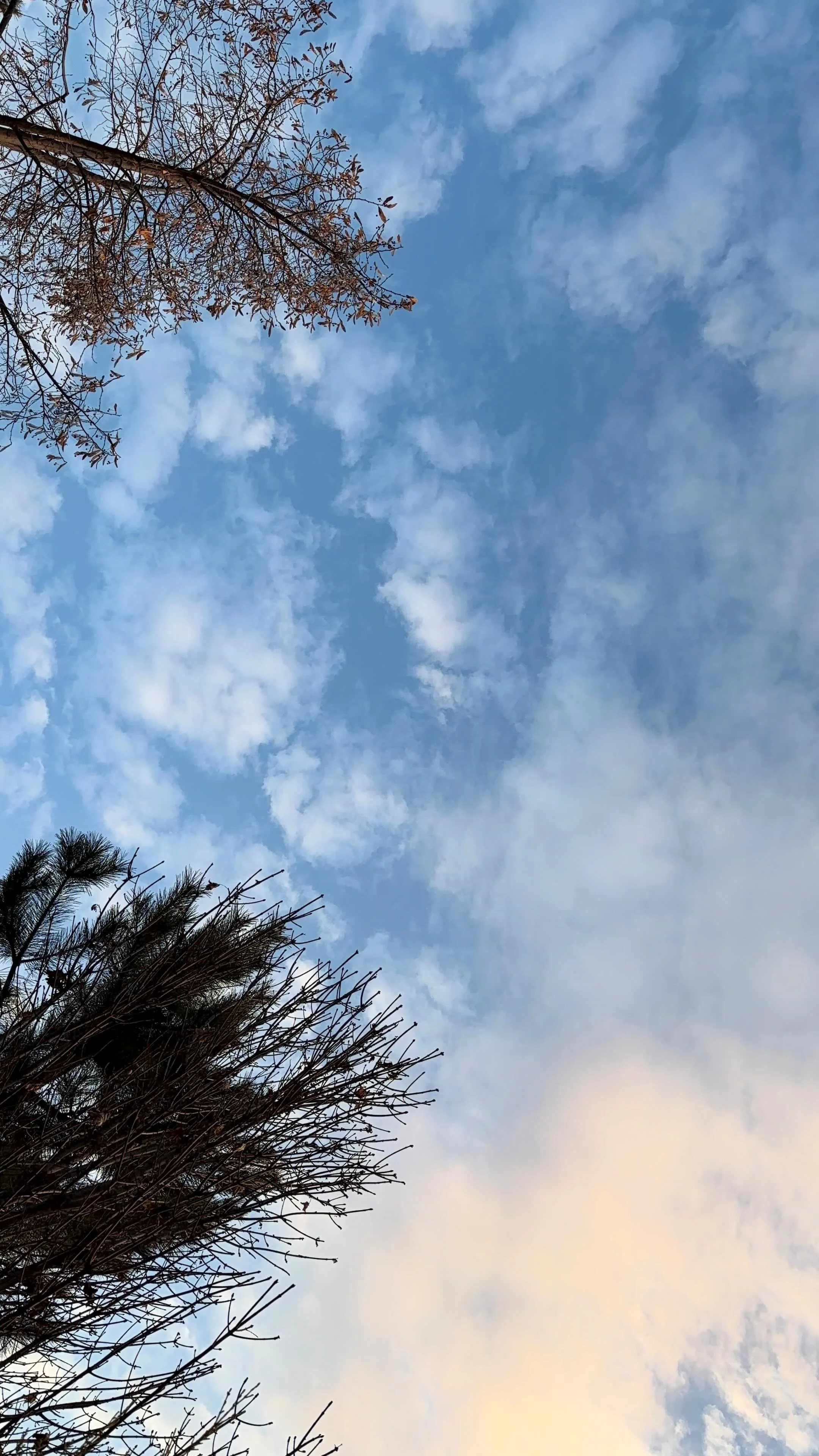 Ramazon 6 kun ‍↔️ 3 soat uhlagan lekin go’zal qolgan men