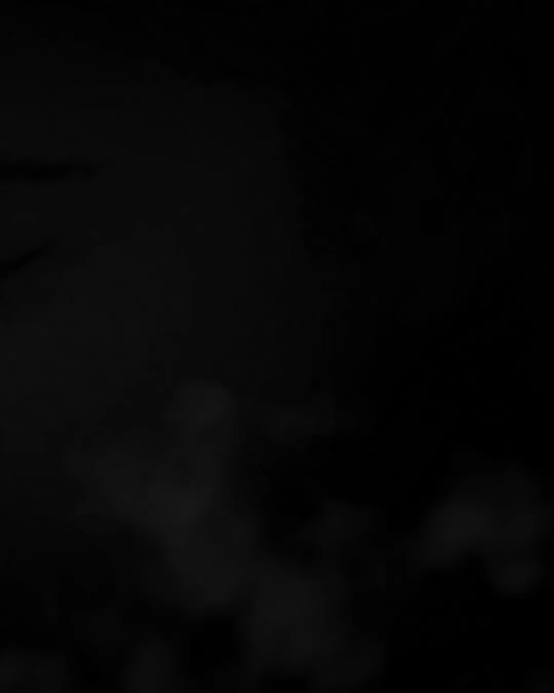 . تقدیم به هم‌میهنان سوگوارم . @alizandevakili @alirezaafkari.officialpage @afshinmoghadamofficial @saeidrezaeimusic @mohamadrajabian1 @mahyarrahimimusic @jamal.mohamadi.kayer @erfanbakhtiari . . .