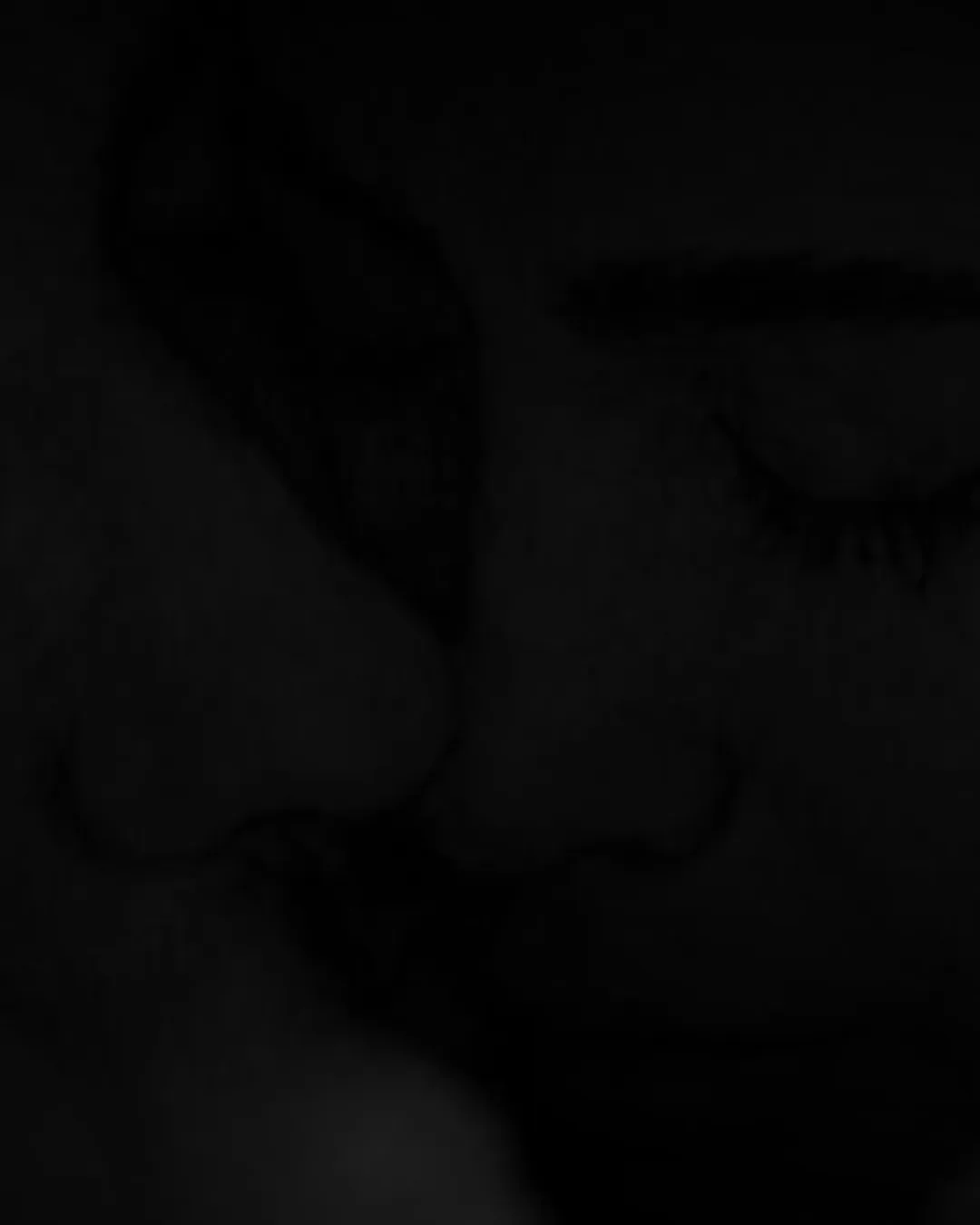 . تقدیم به هم‌میهنان سوگوارم . @alizandevakili @alirezaafkari.officialpage @afshinmoghadamofficial @saeidrezaeimusic @mohamadrajabian1 @mahyarrahimimusic @jamal.mohamadi.kayer @erfanbakhtiari . . .