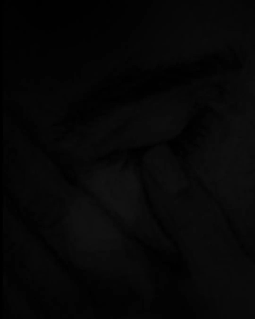 . تقدیم به هم‌میهنان سوگوارم . @alizandevakili @alirezaafkari.officialpage @afshinmoghadamofficial @saeidrezaeimusic @mohamadrajabian1 @mahyarrahimimusic @jamal.mohamadi.kayer @erfanbakhtiari . . .