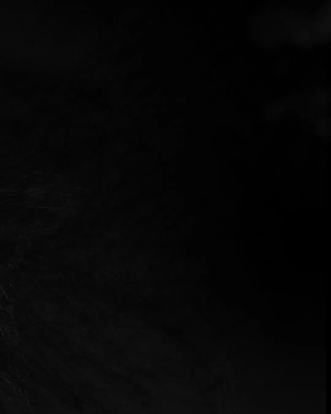 . تقدیم به هم‌میهنان سوگوارم . @alizandevakili @alirezaafkari.officialpage @afshinmoghadamofficial @saeidrezaeimusic @mohamadrajabian1 @mahyarrahimimusic @jamal.mohamadi.kayer @erfanbakhtiari . . .