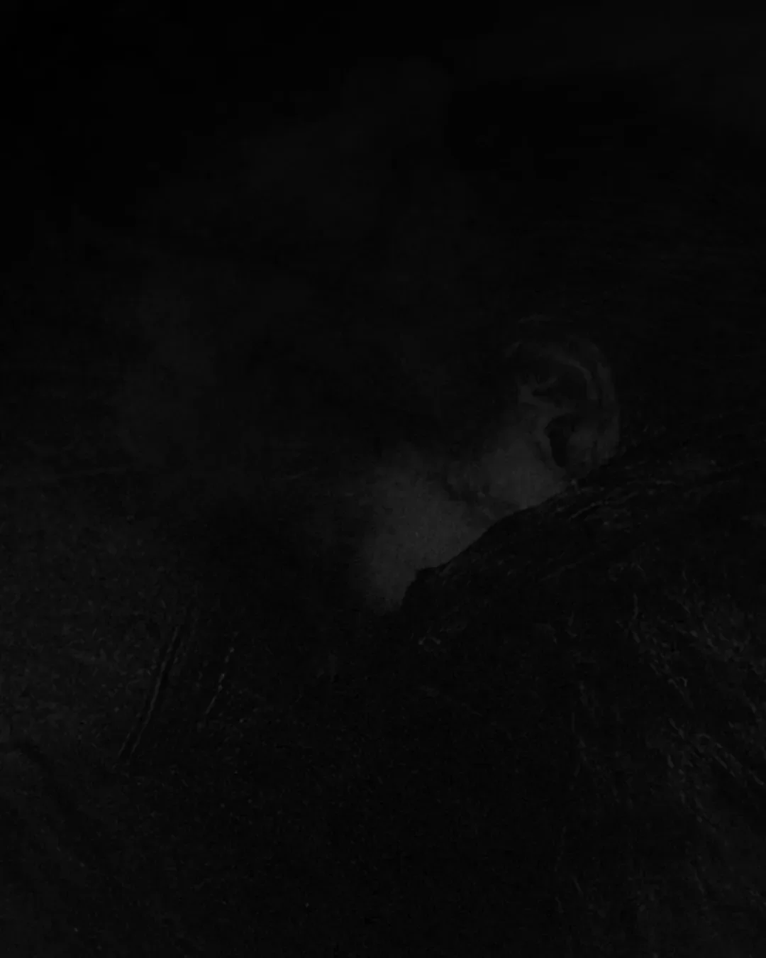 . تقدیم به هم‌میهنان سوگوارم . @alizandevakili @alirezaafkari.officialpage @afshinmoghadamofficial @saeidrezaeimusic @mohamadrajabian1 @mahyarrahimimusic @jamal.mohamadi.kayer @erfanbakhtiari . . .