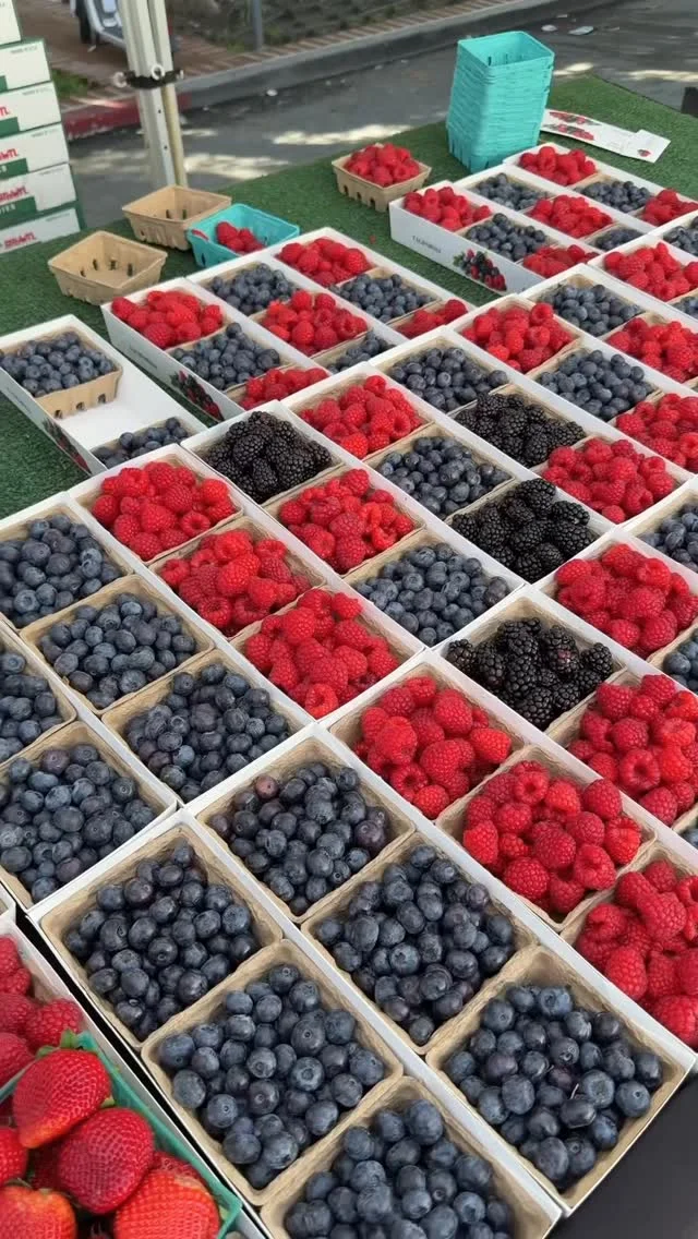 Highlight of my day? The guy at crate & barrel telling me they only had one lamp left in the store only to go look & realize they had two left (I needed two lol). The mediumlight? This person from Facebook Marketplace t...