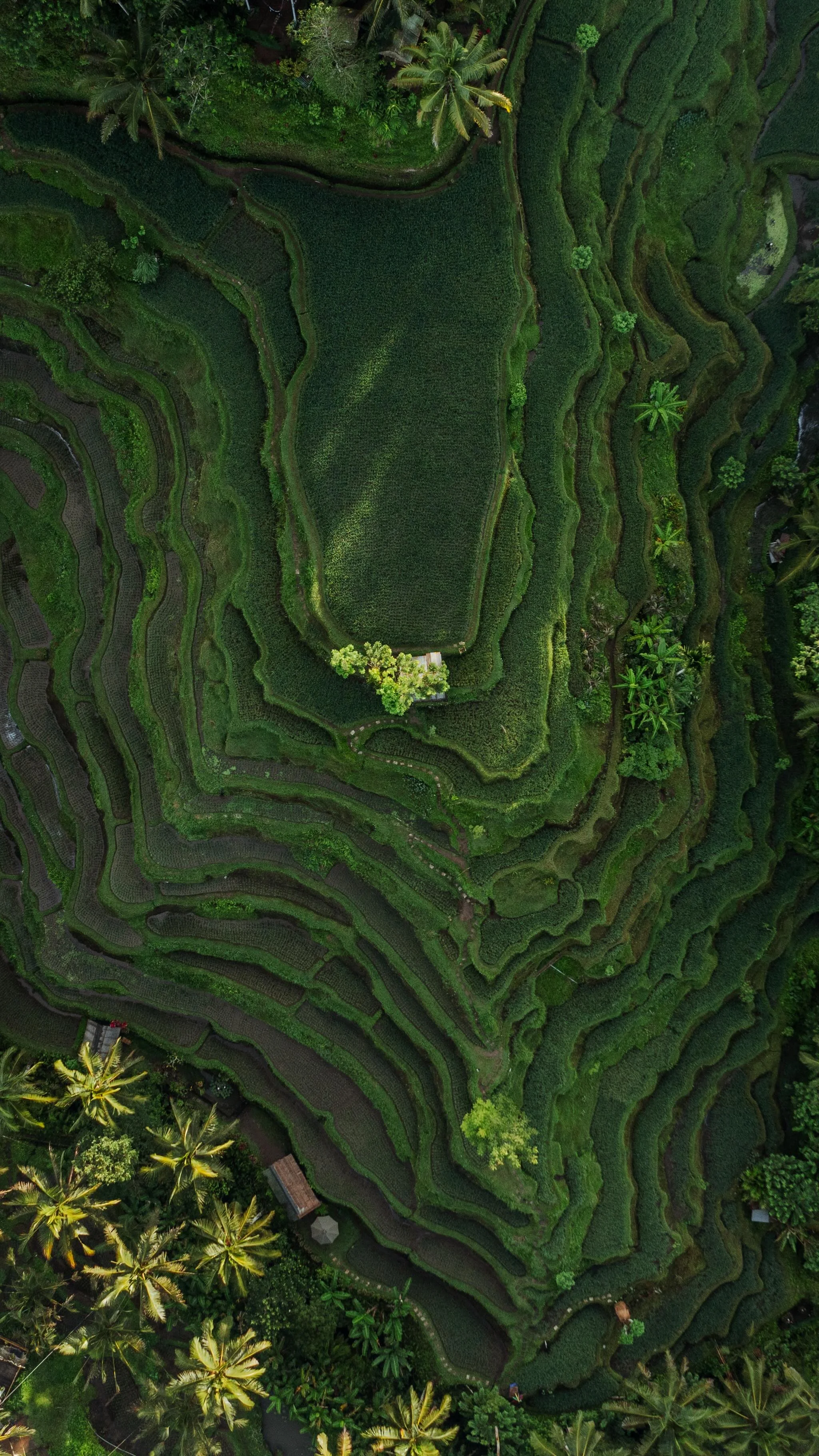 Share this if you feel the same ©️ Copyrighted visuals. No reposts allowed without previous permission, except on the stories. DM us for more info . . .