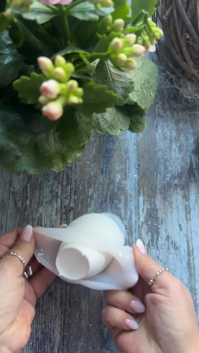 Hahahah… ich finds so lustig 2 neue Silikonformen für gute Laune… ist echt so Die Würmer stecken hier in der Pflanze und jeder, der dran vorbei kommt und die sieht schmunzelt und so „Ohhhhh wer ist er denn? “ Wenn Ihr d...