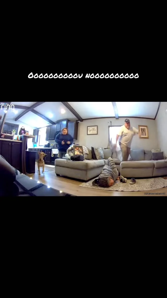 Interesting spot for a camera (Credit TT/bigrigtrav @failvibes)