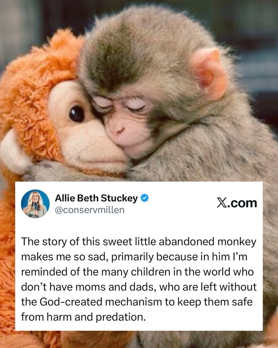 People > animals (even super sweet ones )