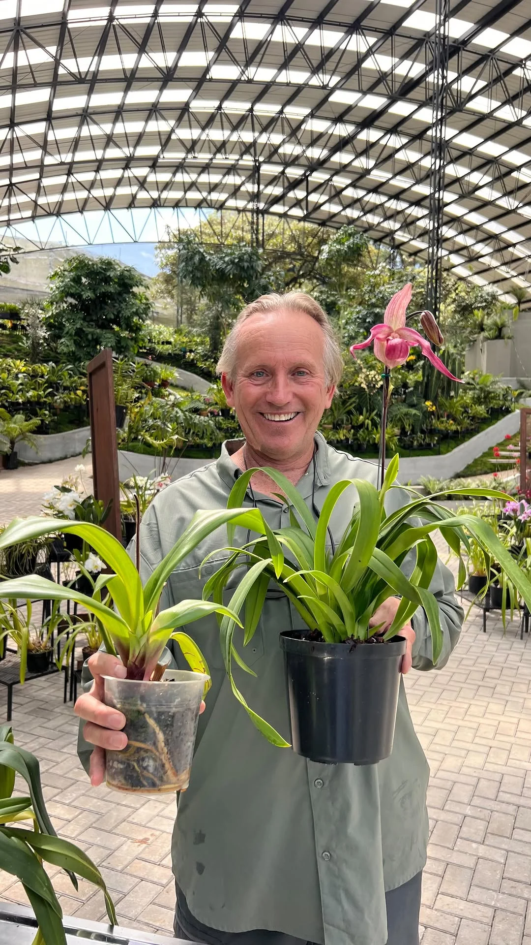 Instagram post by @almadelbosqueonline (DVI_yuzgAAF).