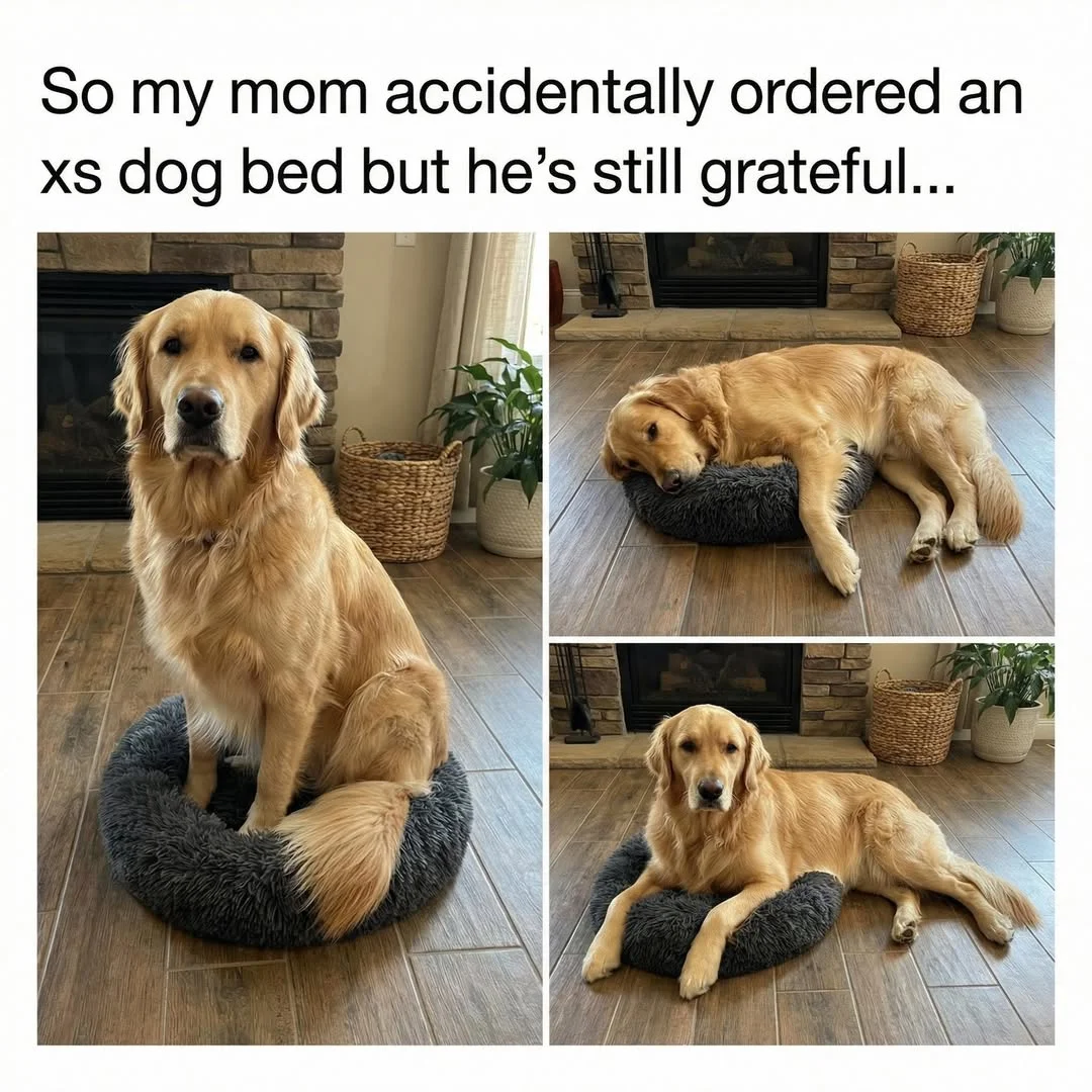 "A for effort, Mom. "