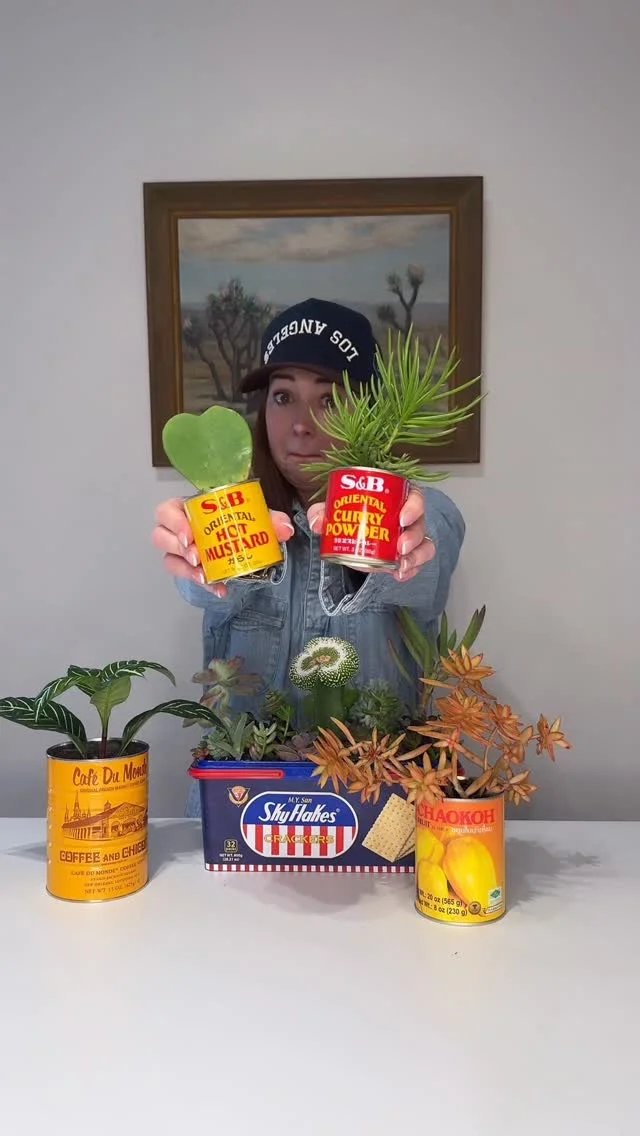 Upcycled Can Planters♻️ This is a super easy and fun way to give old cans a second life. They make for the perfect little homes for plants that you can give as a gift or use as decor around your own home! #upcycle #plan...