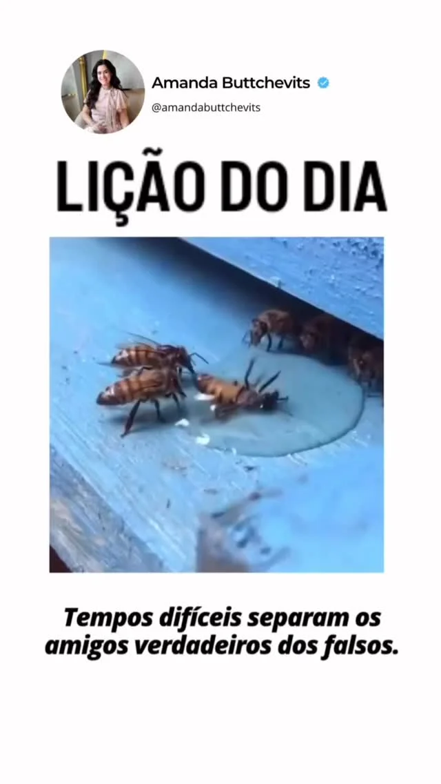 Enquanto tudo está bem, é fácil estar cercado de pessoas.
Sorrisos são abundantes, palavras bonitas aparecem, promessas são feitas.
Mas é na dor, no silêncio, nas lutas e nas quedas que a verdade vem à tona.

Os tempos difíceis têm uma missão escondida: eles filtram.
Filtram as intenções, revelam os corações e mostram quem permanece quando não há vantagens.

O amigo verdadeiro não é aquele que está só na festa, mas aquele que segura sua mão no deserto.
Não é o que aplaude apenas suas conquistas, mas o que ora por você quando ninguém vê.
Não é o que fala bonito em público, mas o que permanece fiel no secreto.

Pode doer perceber que algumas pessoas não caminham mais ao seu lado.
Pode ferir entender que certas presenças eram apenas circunstâncias.
Mas há uma graça nisso tudo: Deus permite essas separações para proteger o seu coração e alinhar você com quem realmente faz parte da sua história.

Tempos difíceis não são apenas sobre perda.
São também sobre revelação, amadurecimento e direção.

E no fim você entende:
Melhor poucos verdadeiros… do que muitos de aparência. ✨