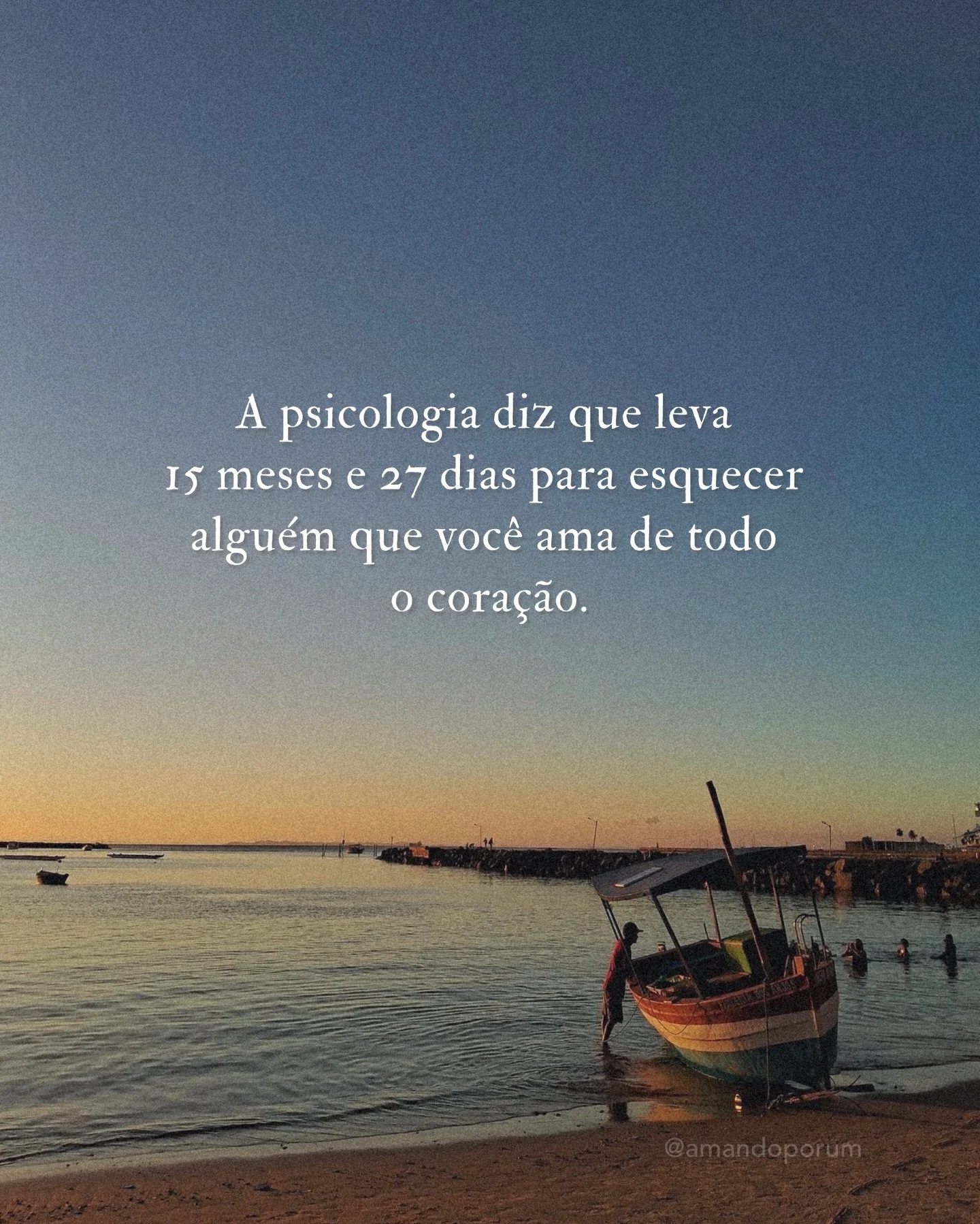 Instagram post by @amandoporum (DWPSlfQAlCQ).