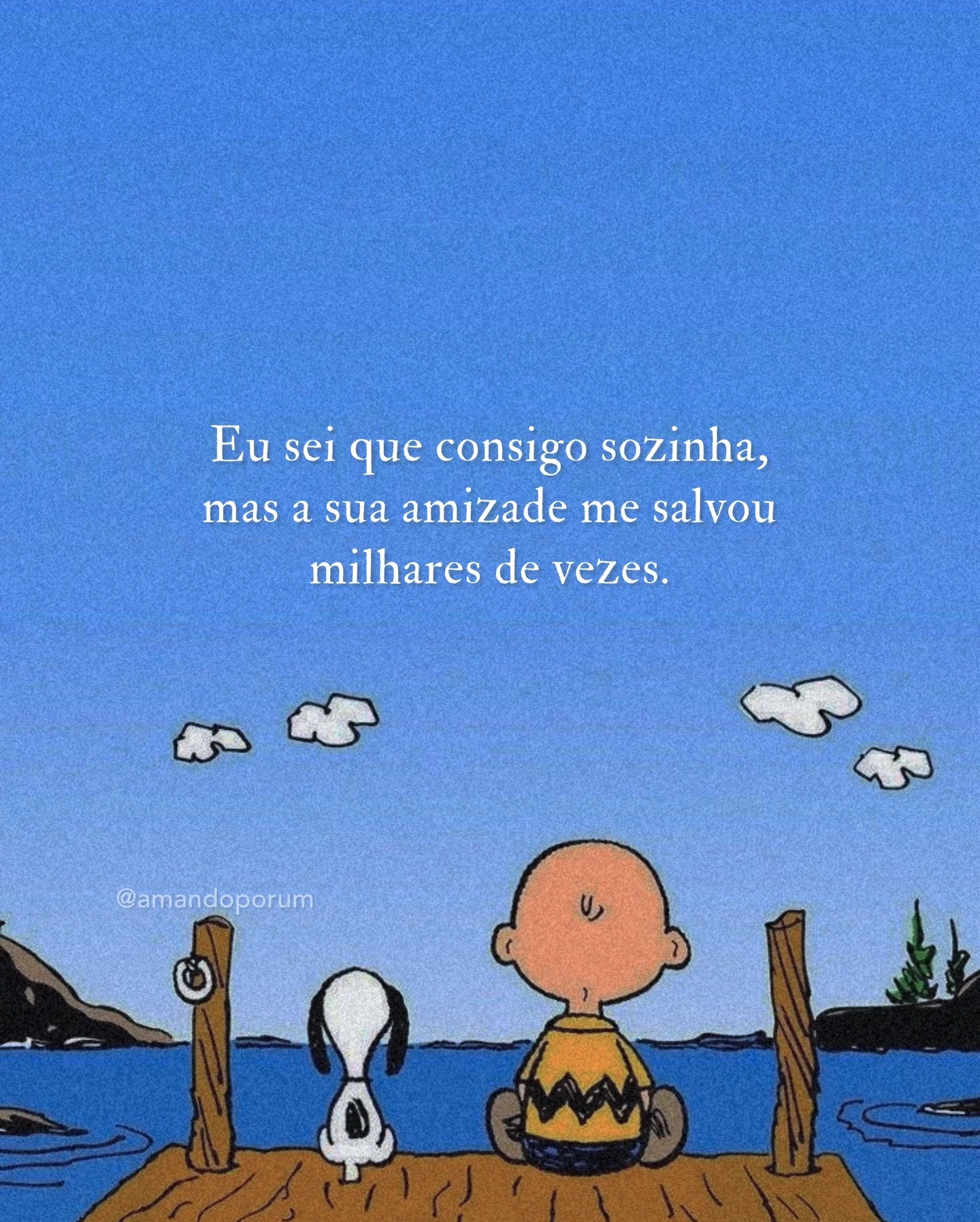 Instagram post by @amandoporum (DWUPkn2FGaY).