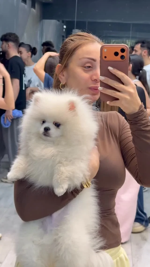 Մենք պատրաստվում ենք @nanulofficial -ի նոր մեծամասշտաբ տեսահոլովակի նկարահանմանը Նոր հիթ է սպասվում ու մեծ սպասելիքներ ունենք այս երգի հետ կապված Լինելով Նանուլի պրոդյուսերը իրավունք եմ վերապահում փոքր սփոյլեր անելու)))...