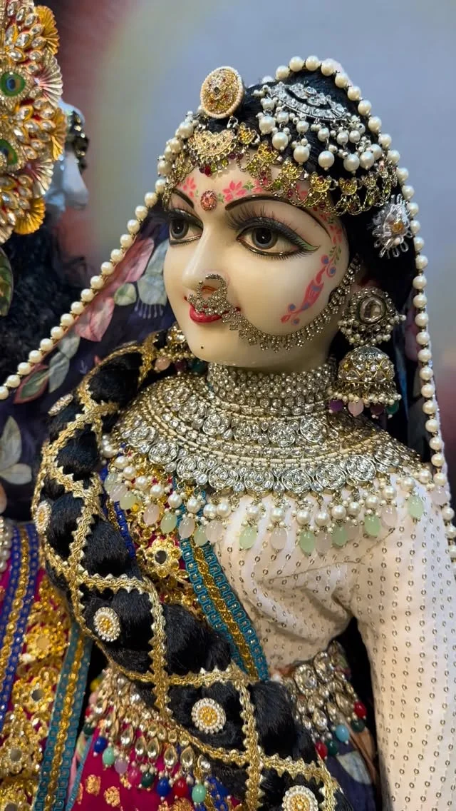 जय राधे राधे ❤️ #reelshreeradhegovind_dham