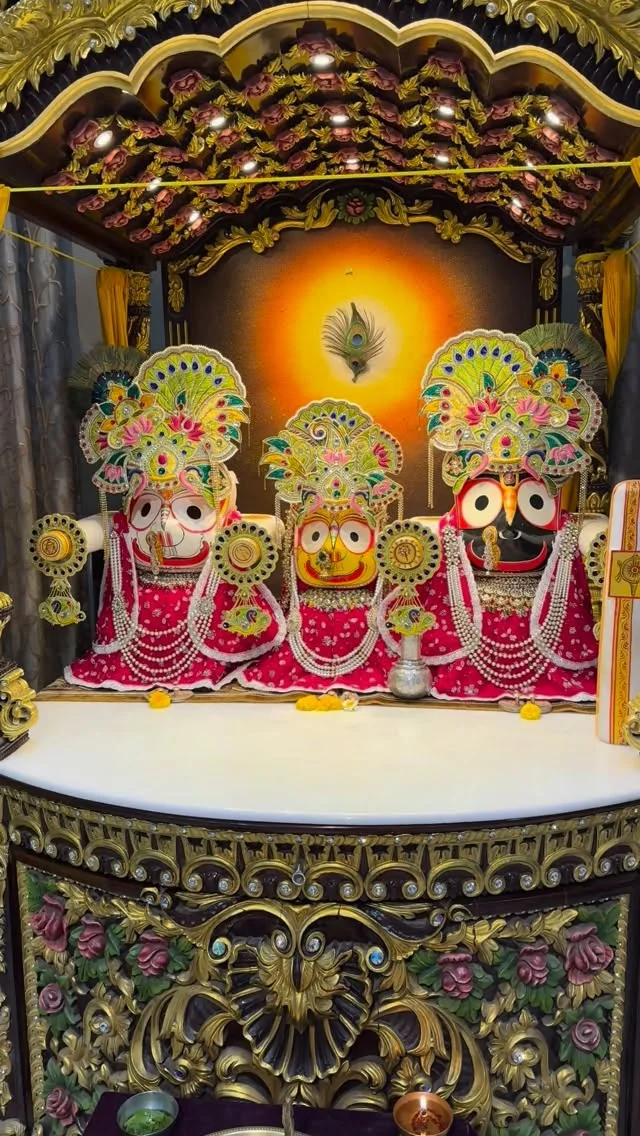 ⭕️❕⭕️ जय जगन्नाथ #reelshreeradhegovind_dham