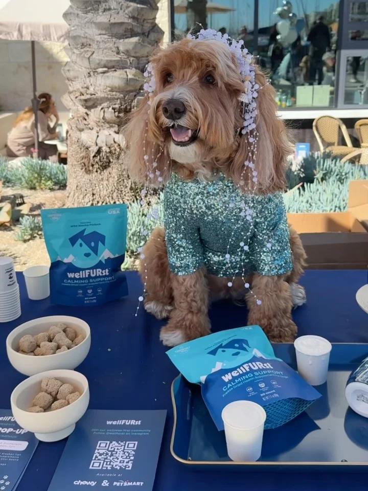 #ad Making everyday wellness fun with @wellfurst We had the BEST time at the wellFURst Pup Pop-Up. Pup cups featuring Wild Alaska Fish Oil Blend, custom bandanas, photos with my friends, and the fluffiest crowd. ✨ I lea...