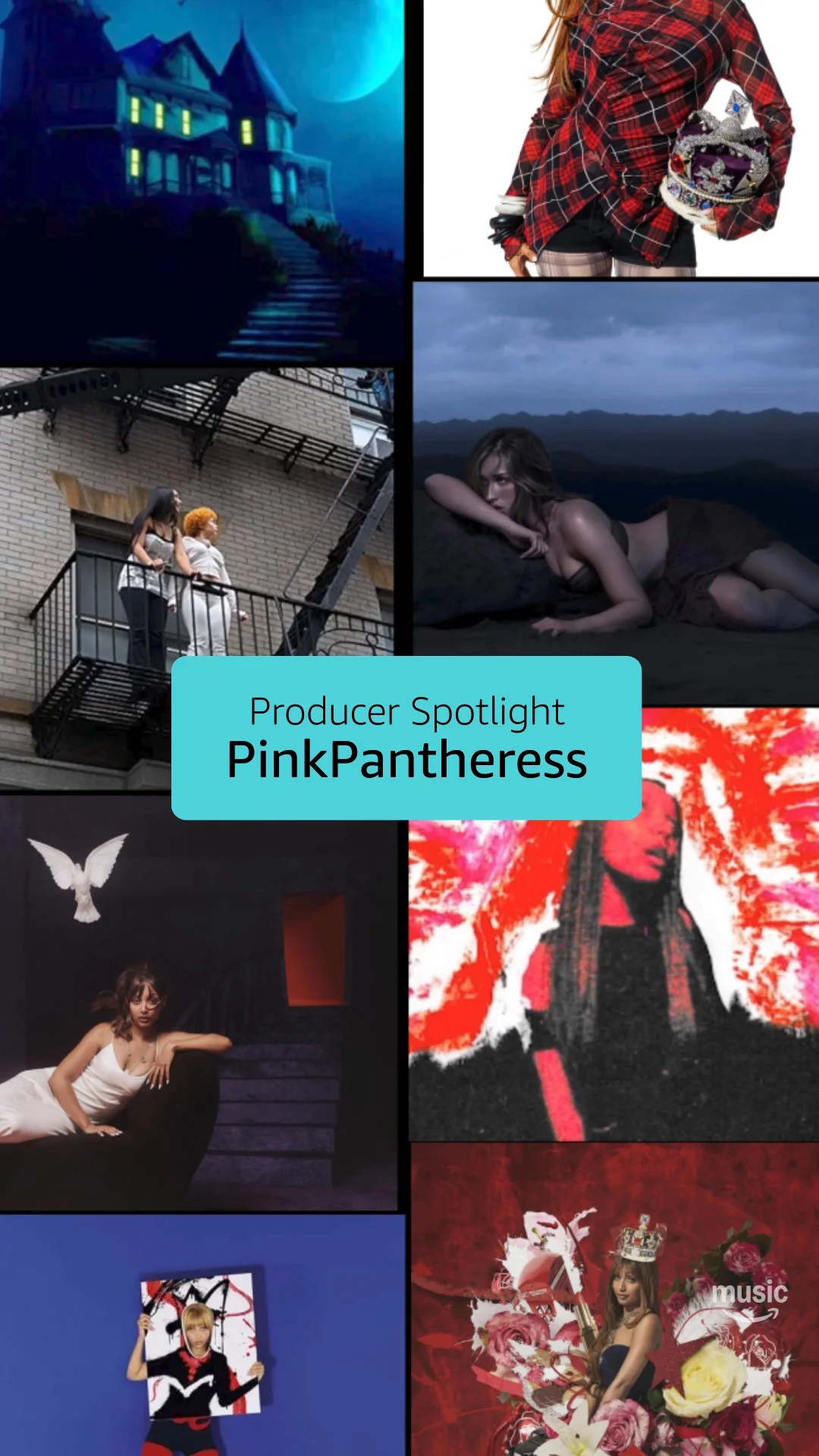 just to name a few. @pinkpantheress, the producer that you are