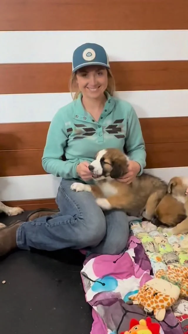 An extra special visit for our Costco crew and their beautiful mama, Pepsi! Amber Marshall stopped by to spend some time with them, and let’s just say… the pups were more than happy to soak up the attention! They’ve alr...