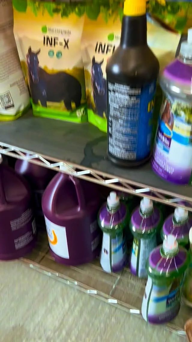 FARNAM HORSE FILLS OUR BARN #amberleysnyder #walkriderodeo #frenchopen #tinktink #farnamhorse