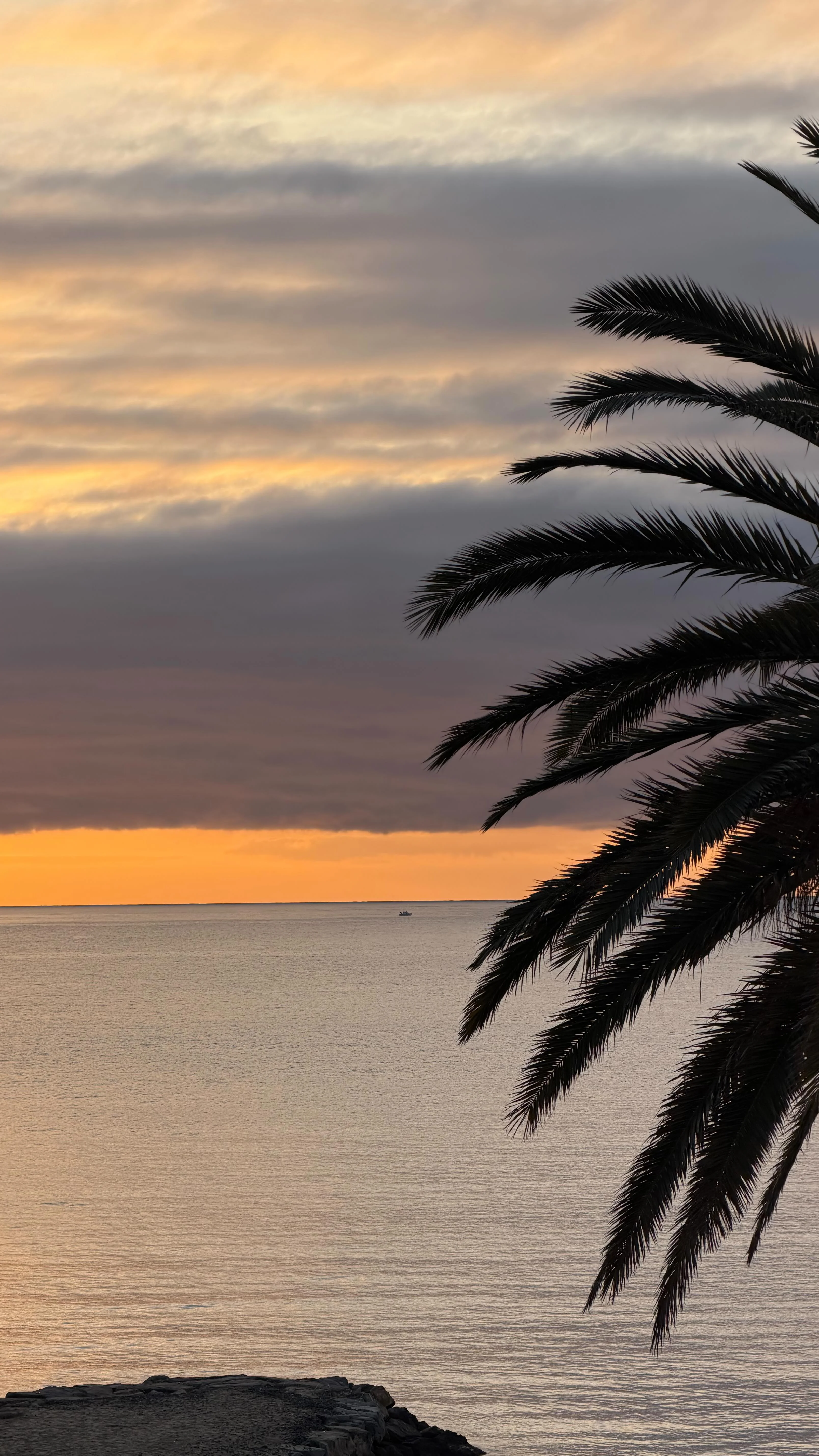 Tu fidati :) @amononhaicapito !!!