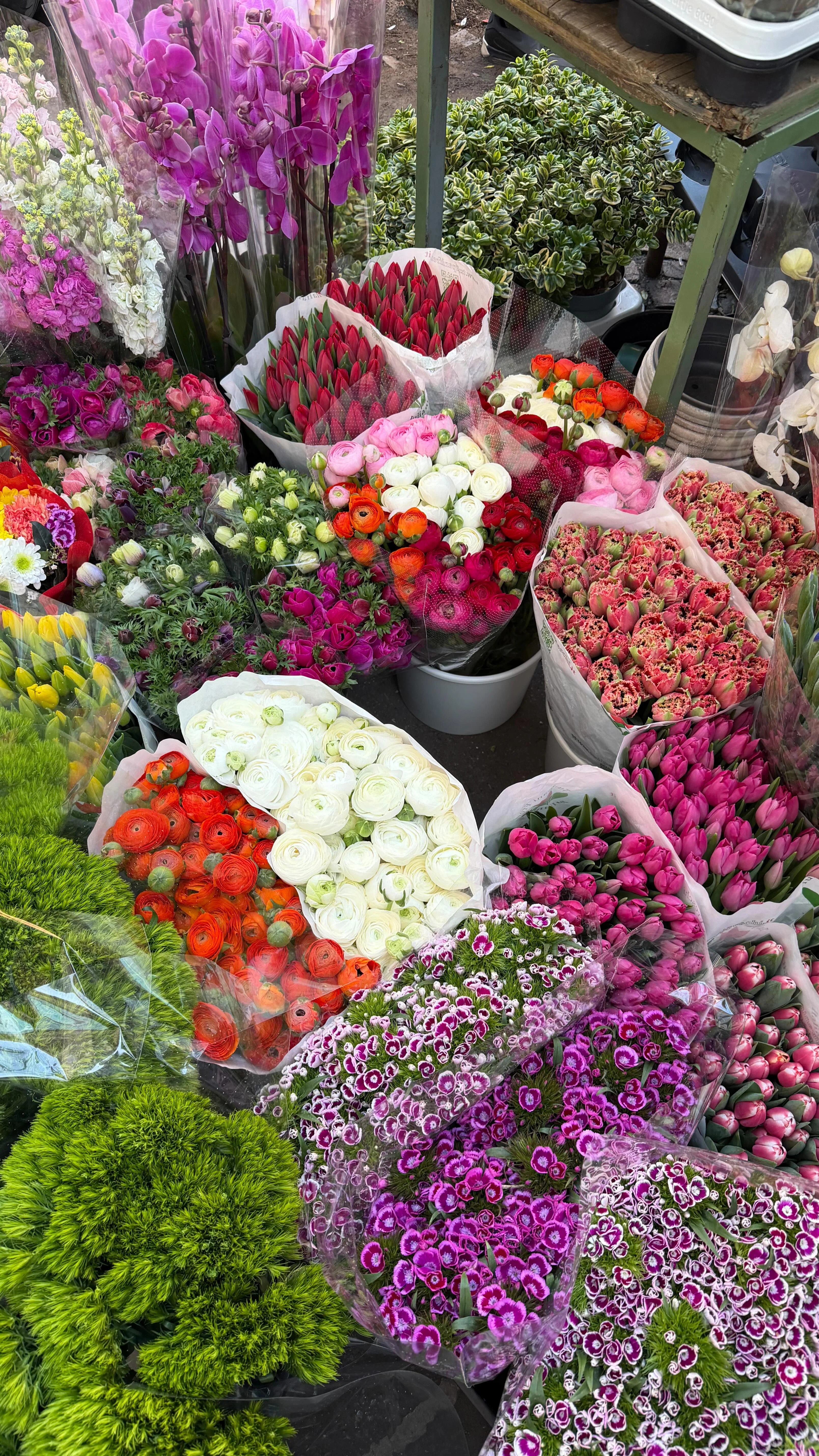 Noi aspettiamo però tu sbrigati dai!!!!!