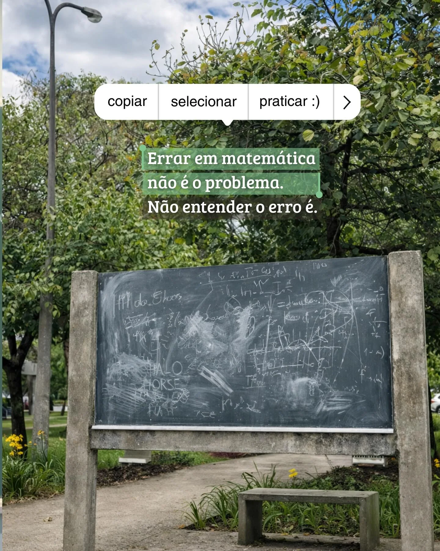Errar faz parte do processo para aprender Matemática, então o problema não é errar!!!! O problema é repetir o erro sem entender o que aconteceu, ou seguir sem corrigir e sem entender o caminho correto. Gosto de dizer qu...