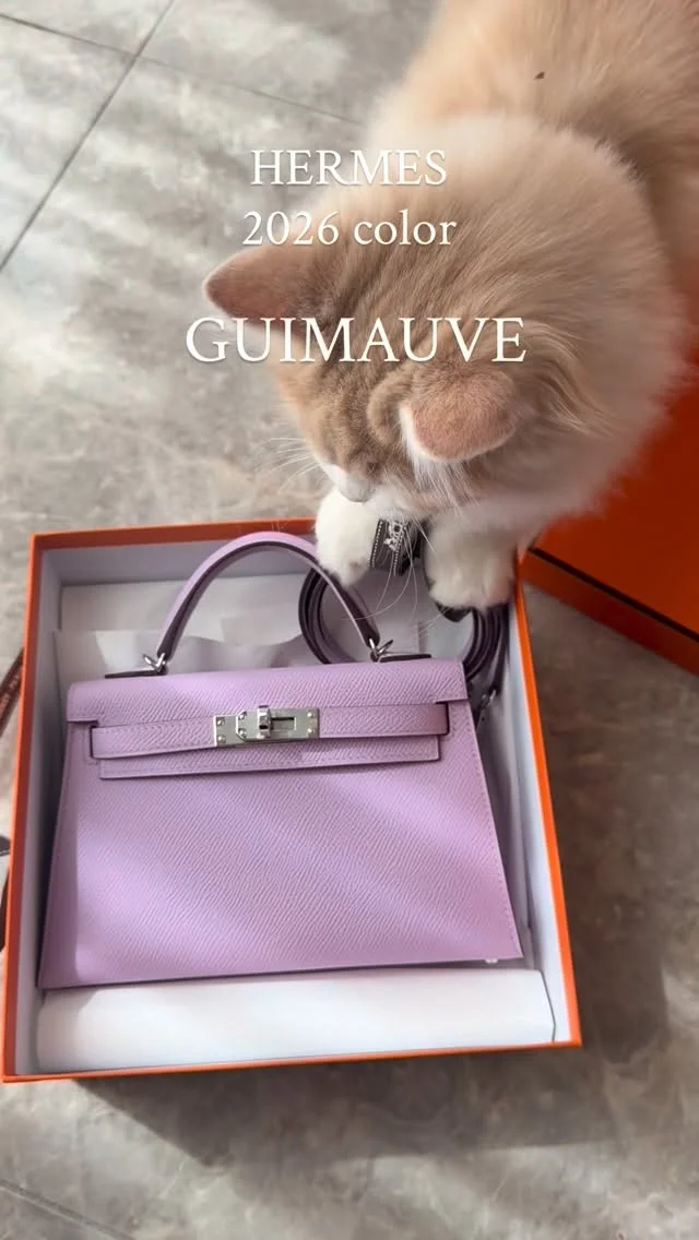 開封の儀毎度これ笑 ギモーヴというマシュマロみたいなお菓子のイメージの このカラーは2026年の新色らしい☺️ モーヴペールとモーヴシルベストルの ちょうど間のようなカラー #hermes#minikelly #ミヌエット#ragdoll