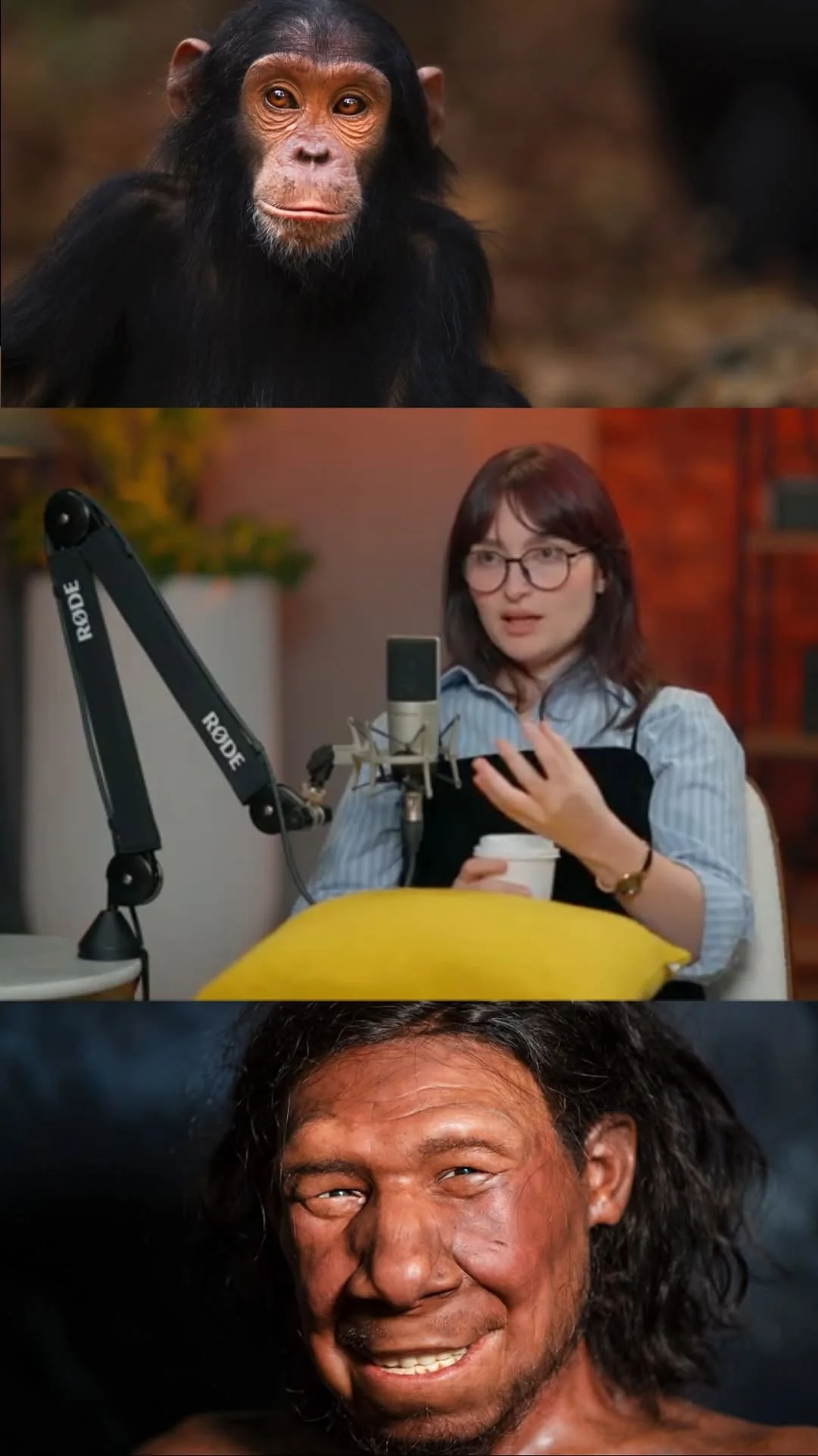 ماذا حدث ليأتي نسل بني آدم ؟ نظرية التطور بين الجهل المتوارث و البحث الحيادي !
هل نحن نتاج تزاوج الإخوة ؟ ام للقصة بُعد اعمق ؟
الحلقة كامله علي يوتيوب 🤍