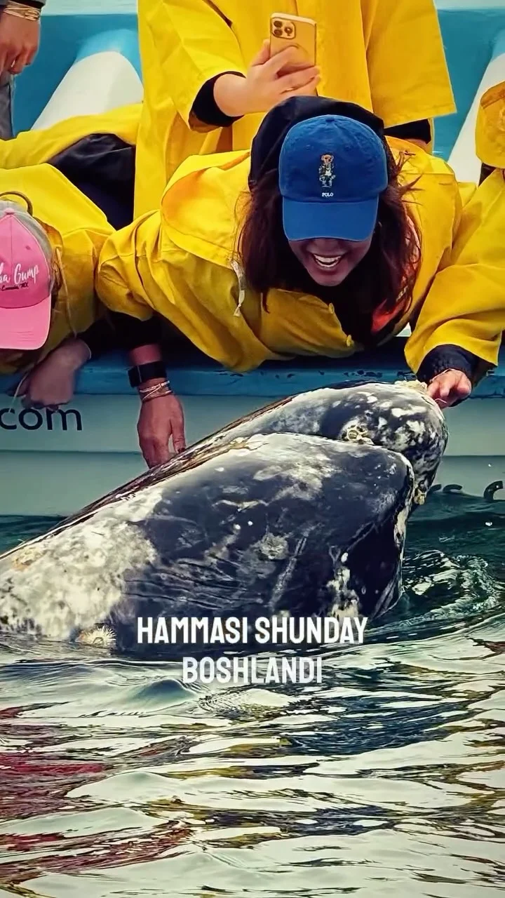 Масштабли орзу - менинг тажрибамдa Мана уч йилдирки, ҳар йили олдимга янги масштабга чиқиш мақсадини қўяман. Мен ўзимнинг ўлчамимда энг кўп пулни ҳам ишладим, катта масштабда саёҳатларни қилиб кўрдим, омад ва имкониятла...